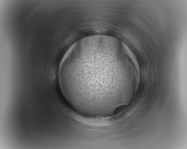 X0000095960032200801251159