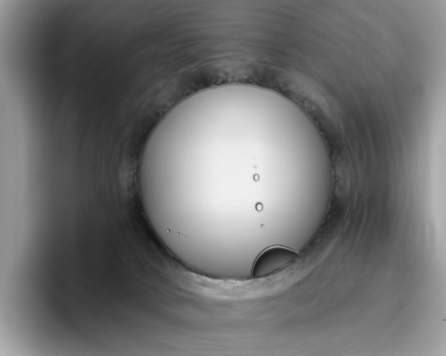 X0000095960034200801251159