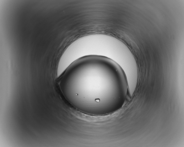 X0000095960035200801251159