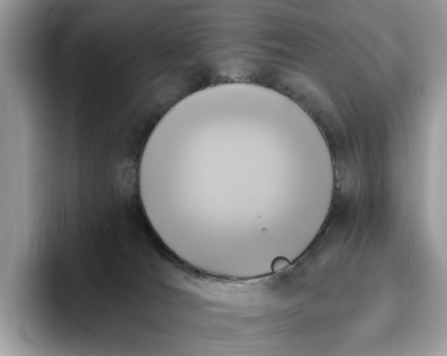 X0000095960036200801251159