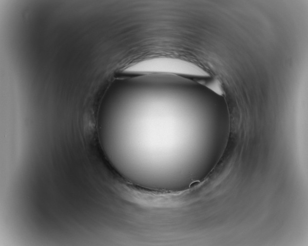 X0000095960040200801251159