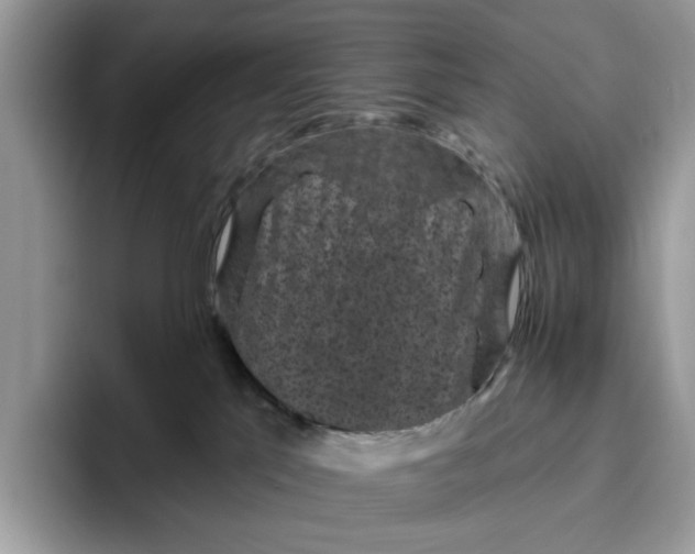 X0000095960041200801251159