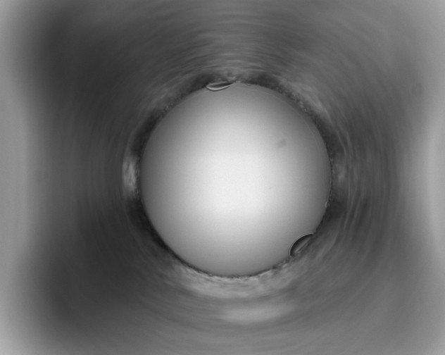 X0000095960042200801251159