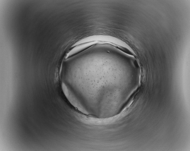 X0000095960043200801251159