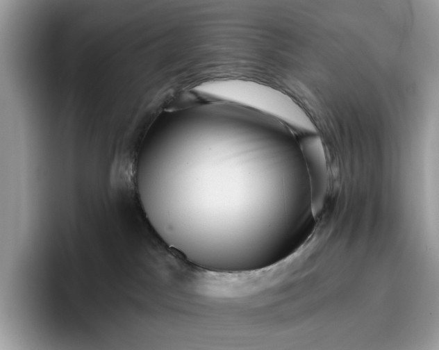 X0000095960045200801251159