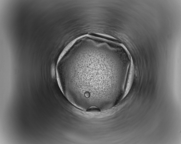 X0000095960046200801251159