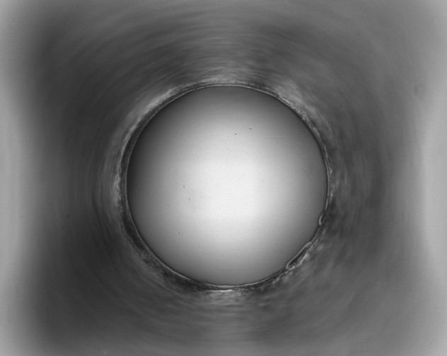 X0000095960050200801251158