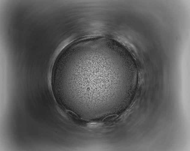 X0000095960051200801251158