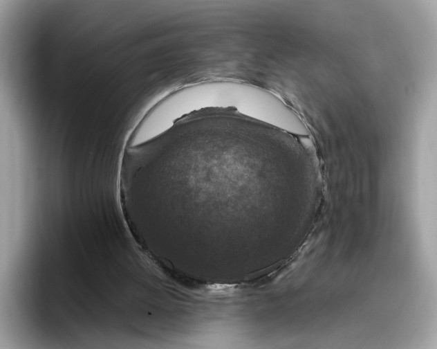 X0000095960052200801251158