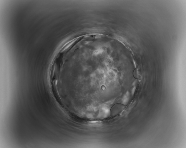 X0000095960053200801251158