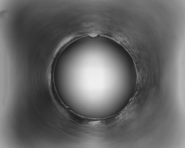 X0000095960054200801251158