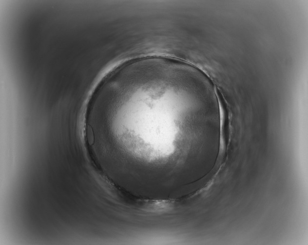 X0000095960056200801251158