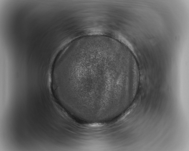 X0000095960059200801251158