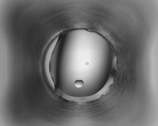 X0000095960060200801251158