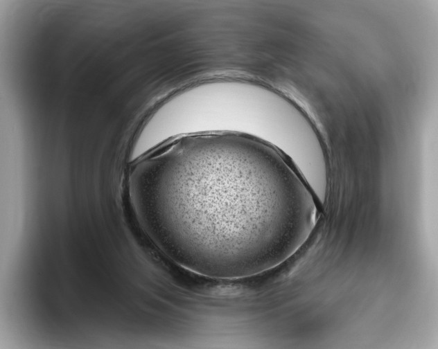 X0000095960063200801251158