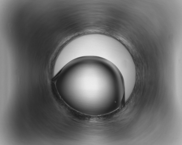 X0000095960064200801251158