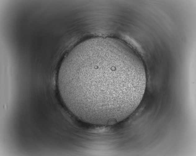 X0000095960065200801251158