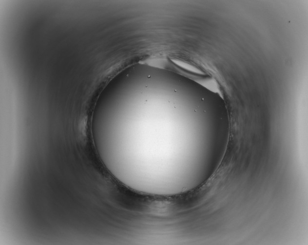 X0000095960066200801251158