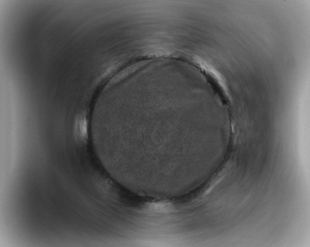 X0000095960067200801251158