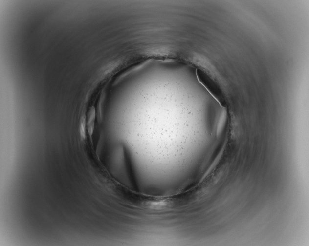 X0000095960068200801251158