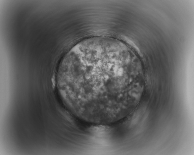 X0000095960069200801251158