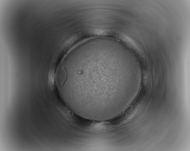 X0000095960072200801251158