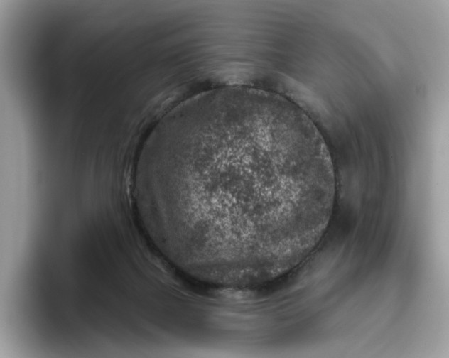 X0000095960073200801251158