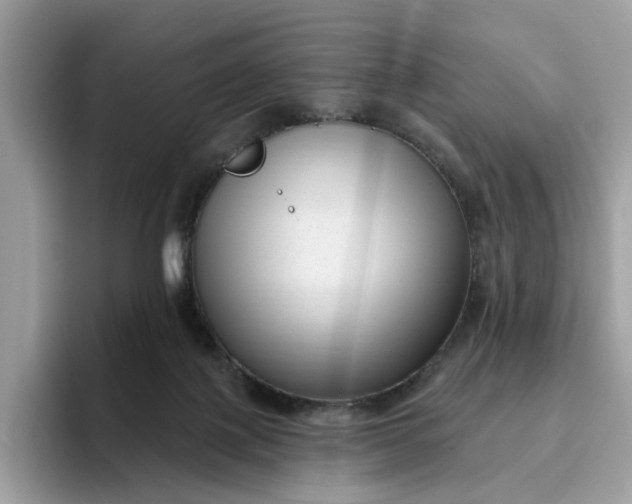 X0000095960075200801251158