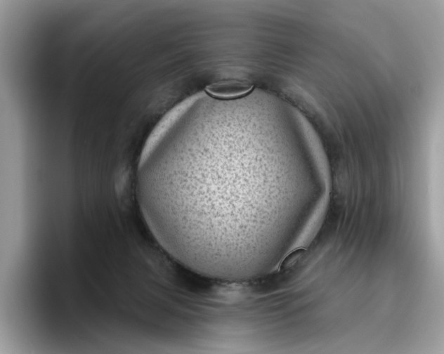 X0000095960079200801251158