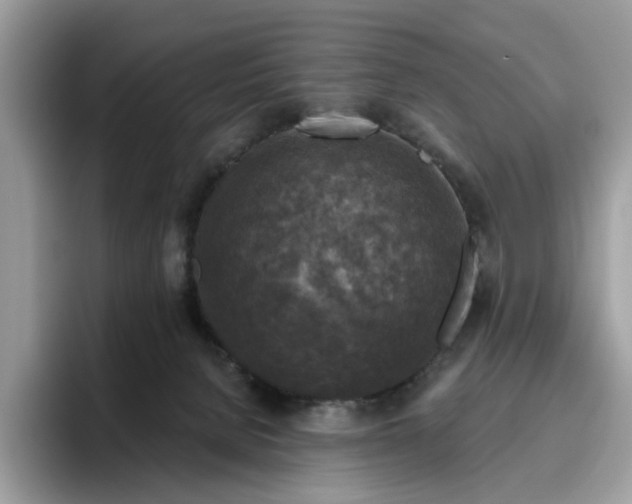 X0000095960080200801251158