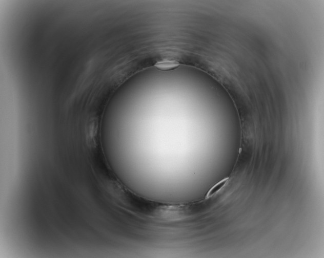 X0000095960082200801251158