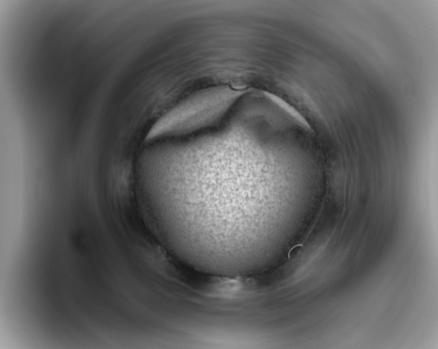 X0000095960083200801251158