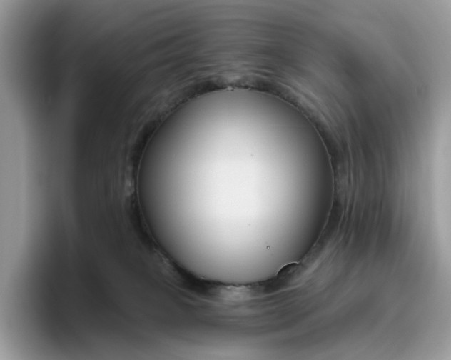 X0000095960085200801251158