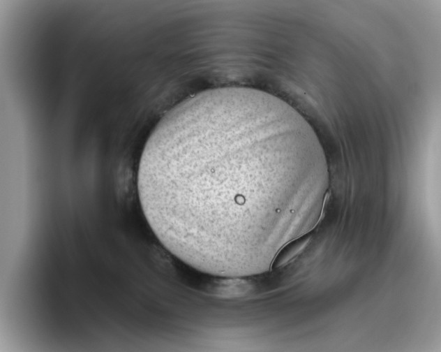 X0000095960087200801251158