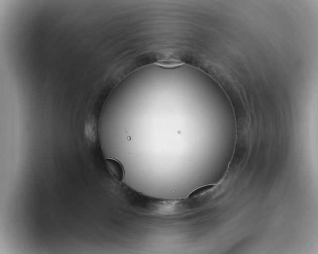 X0000095960090200801251158