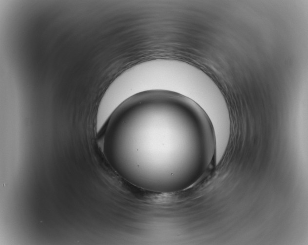 X0000095960092200801251159