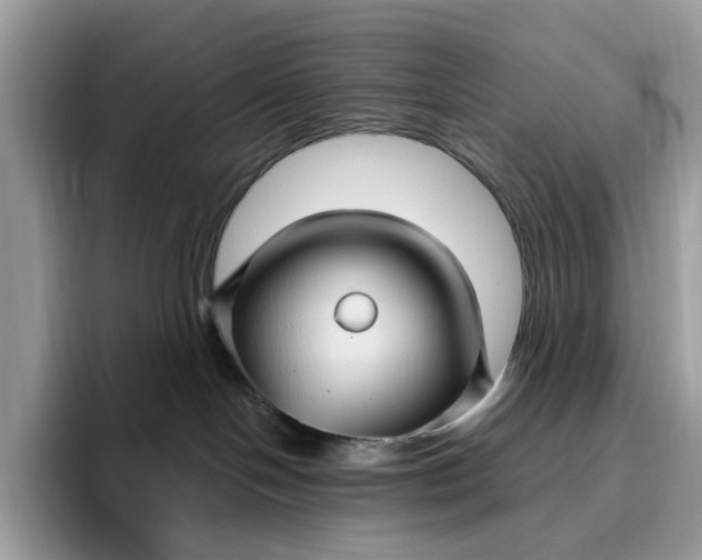 X0000095960094200801251159