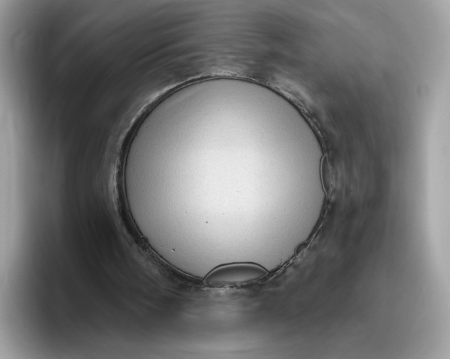 X0000095960098200801251158