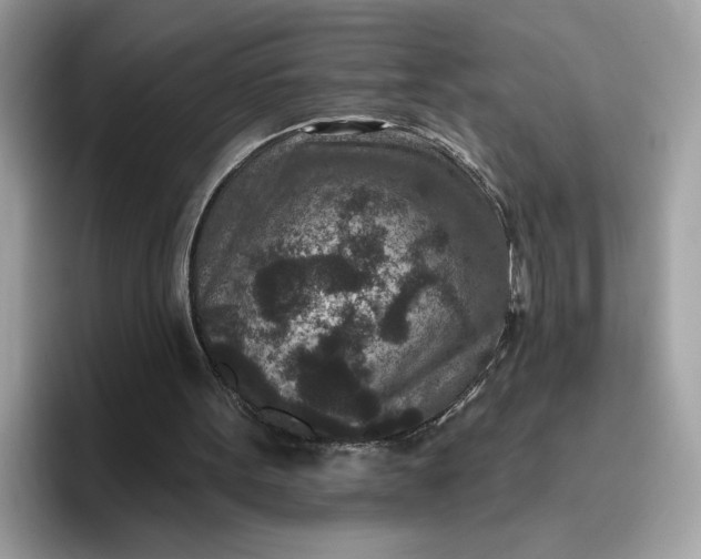 X0000095960099200801251158