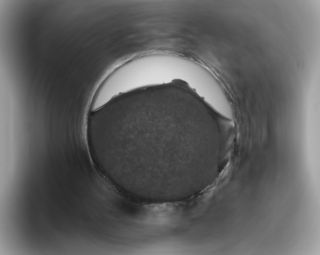 X0000095960100200801251158