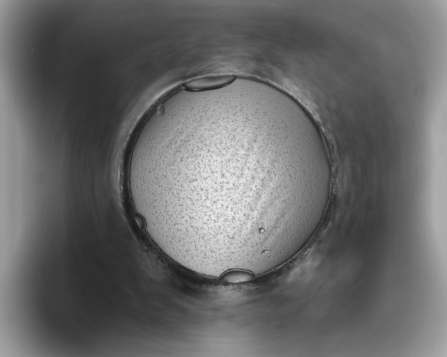 X0000095960103200801251158