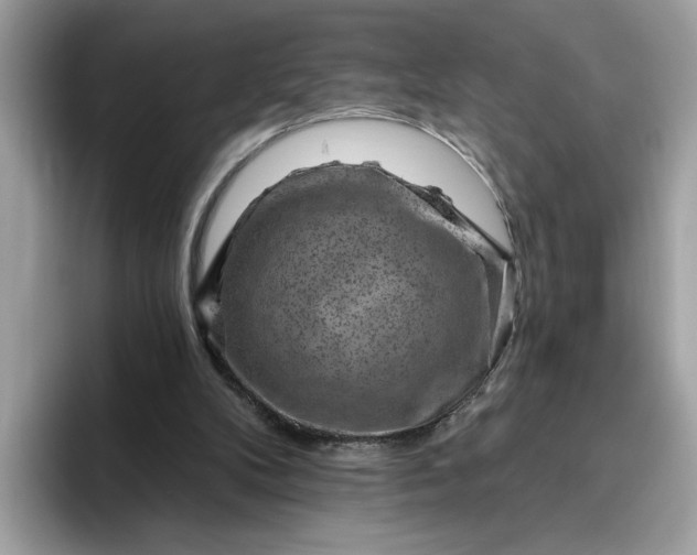 X0000095960104200801251158