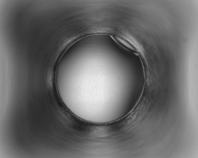 X0000095960107200801251158