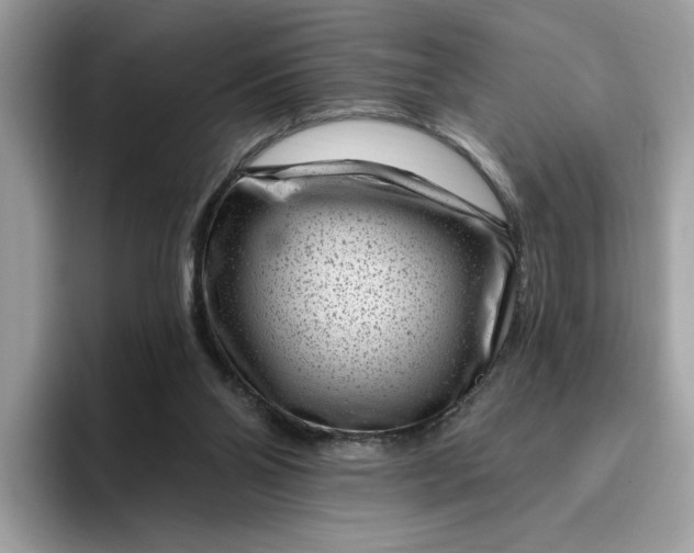 X0000095960110200801251158