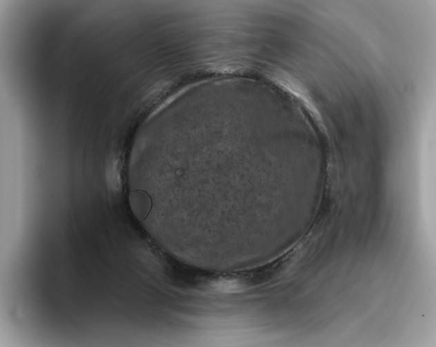 X0000095960114200801251158