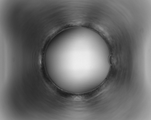 X0000095960115200801251158