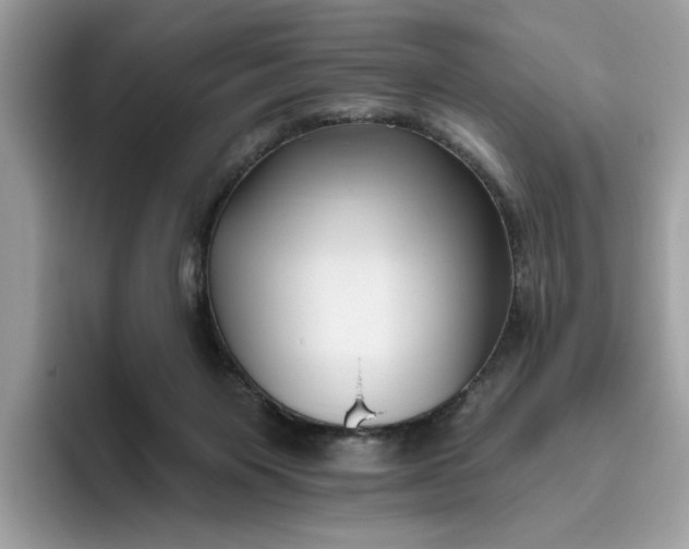 X0000095960119200801251158