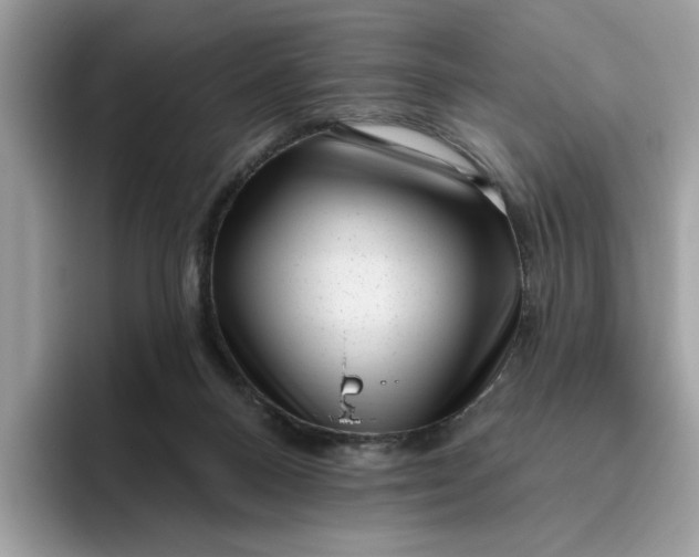 X0000095960120200801251158