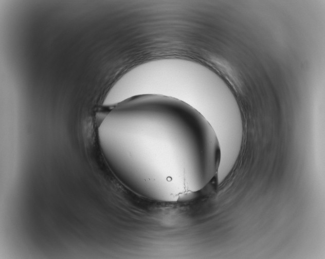 X0000095960121200801251158