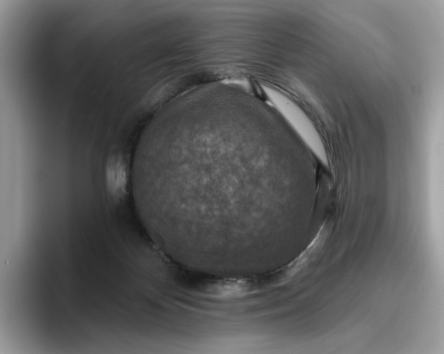 X0000095960124200801251158